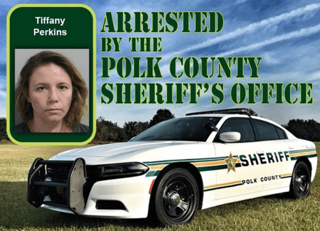 Power Theft, Dog Attack, And A Dozen Charges: Lake Wales Woman Arrested By PCSO